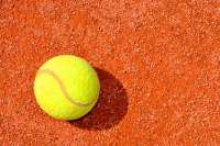 В Украине представлен материал теннесит