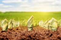 Иностранец чуть не потерял полмиллиона долларов на земле