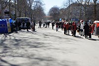 Центральные дороги Николаева вымоют за 16 млн. грн.