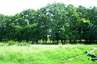 В Киеве на неприспособленных для этого землях хотели построить ТРЦ