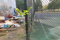 У Києвi пройде осiннiй двомiсячник iз благоустрою