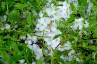 На восстановление Житомирской области после непогоды дали 4 млн. грн.