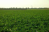 Прокуратура не смогла забрать у фирмы 722 га земель в Харьковской области