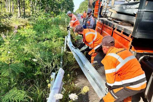 На житомирськiй дорозi проводять роботи для безпечного проїзду транспорту