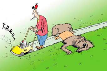 На рынок вышли новые профессиональные газонокосилочные тракторы