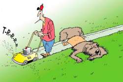 На рынок вышли новые профессиональные газонокосилочные тракторы