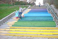 Все ЖК-проблемы Черкасс объединят в одну базу