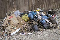 Столичный чиновник поплатился должностью за кучу мусора