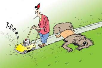 Газонокосилки Husqvarna: новинки 2020 года. Обзор