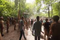 В лесу Пуще-Водицы строительства не будет