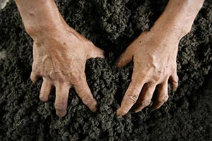 Во Львове физлица при помощи госслужащего захватили участок земли 