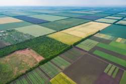 Общины смогут развиваться комплексно