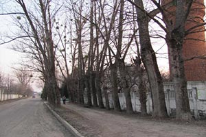 В Ивано-Франковске за 5 млн. грн. отремонтируют улицу