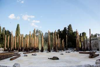 Архитектор снял фильм о превращении древесных стволов в сцену