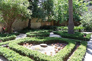 Луцк украсят узорными цветниками