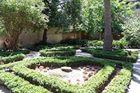 Луцк украсят узорными цветниками