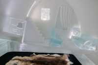 Льодовий готель знову вiдкрився