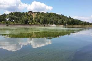 Экоинспекция забила на строительство на берегу Киевского водохранилища