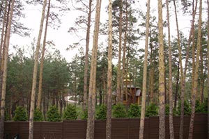 Прокуроры забирают землю под застройку в лесу