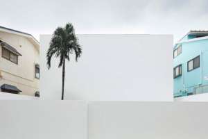 Японцы построили дом без окон