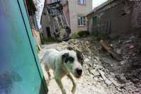 В Харьковской области "потерялись" волонтеры из Пскова