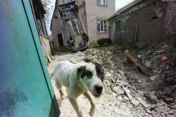 В Харьковской области "потерялись" волонтеры из Пскова