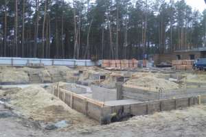 Ирпеньские чиновники присвоили кусок леса