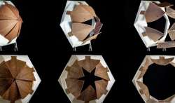 Новейшие технологии: 4D-печать - программируемая материя. Видео