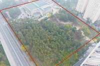 В киевском парке разрешили построить жилье