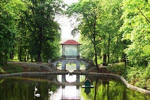 Строительство дендропарка под Винницей обойдется дешевле