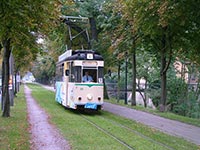 Когда поднимут стоимость проезда в транспорте