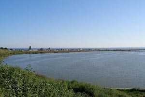 Под Одессой от самостроев освободили участок у Черного моря