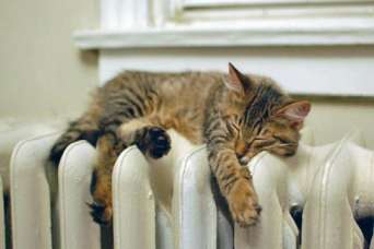 С отоплением зимой возникнут проблемы