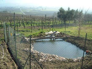 Харьковские экологи выступили против застройки водоемов 