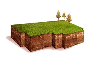 Киев хочет заработать 161 млн. грн. на земле