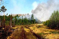 Под Киевом горит трава