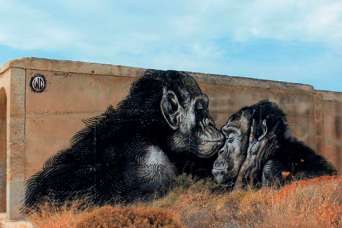 Лучшие муралы мира-2. Фото