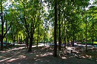 Застройщик не смог забрать сквер у Киева