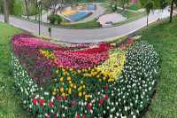 У "Спiвочому полi" буде безбар'єрне укриття