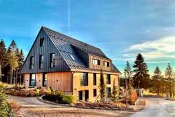 Яка сучасна покрівля має максимальну екооцінку: результати досліджень