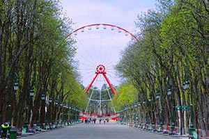 В харьковском парке проворовались на 8,5 млн. грн.