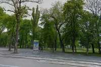 Участок с туалетом у "Владимирской горки" отдали в аренду