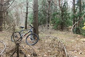 На строительство веломаршрута в Киеве уйдет больше 5 месяцев