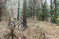 На строительство веломаршрута в Киеве уйдет больше 5 месяцев