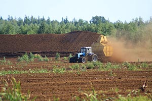 Ровно массово переходит на торф