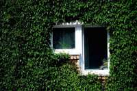 Как потратить 100 миллионов евро, которые Евросоюз выделил Украине на утепление