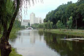 Коцюбинское пытается захватить Голосеевский парк