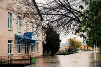 Под Запорожьем за 1,6 млн. грн. построят школьное футбольное поле