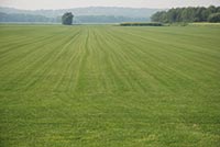 Земля обогатила казну на 500 млн. грн.