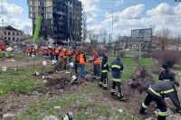 Жилье пострадавшим от войны восстанавливает добробат